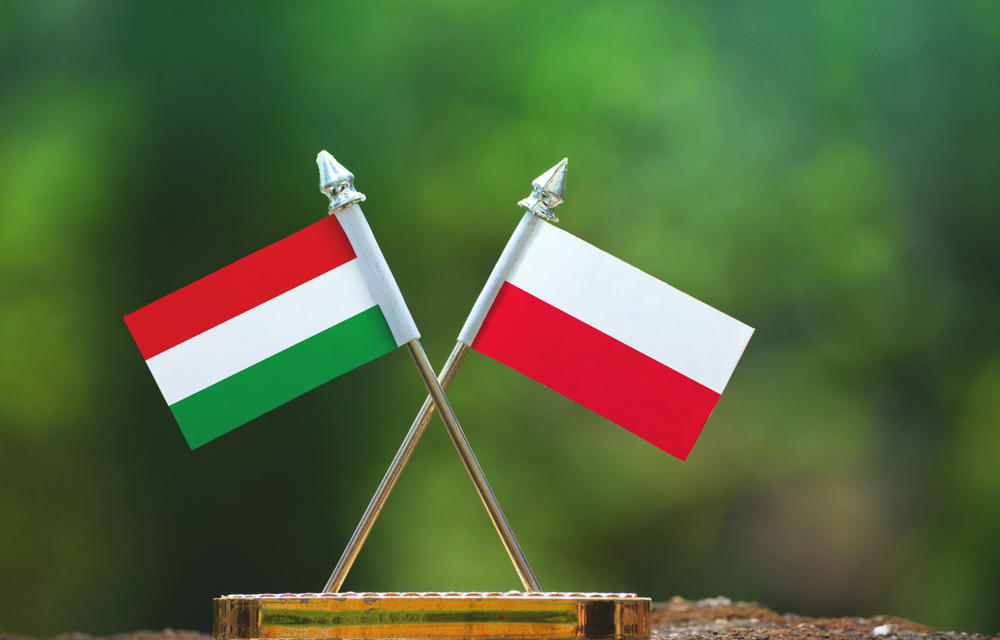 Dyskusja na temat polsko-węgierskiej współpracy gospodarczej odbyła się za pośrednictwem Internetu
