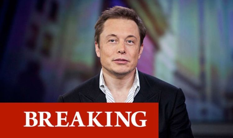 Elon Musk przedstawia umowę sprzedaży Tesli: Szalony miliarder pyta, czy powinien wykasować 10% swoich akcji |  świat |  Aktualności