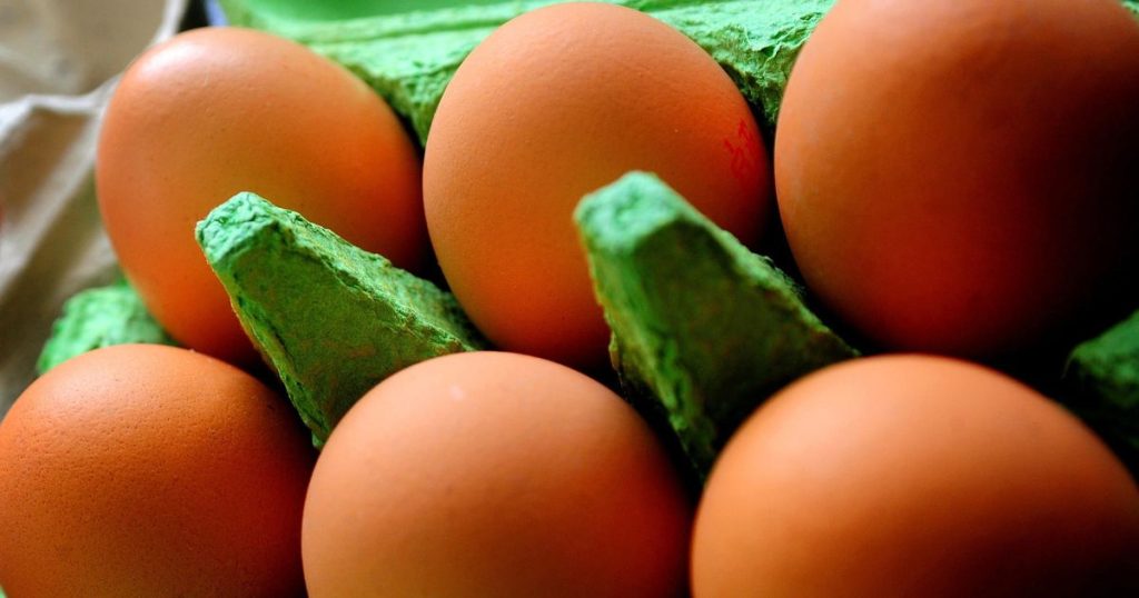 Jaja z wolnego wybiegu nie będą dostępne w sprzedaży w supermarketach w Wielkiej Brytanii od poniedziałku